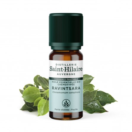 Huile Essentielle Ravintsara Bio 10Ml