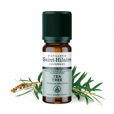 Huile Essentielle Tea Tree Bio 10Ml