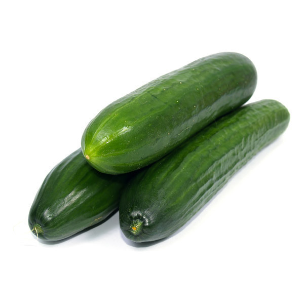 Concombre bio sp