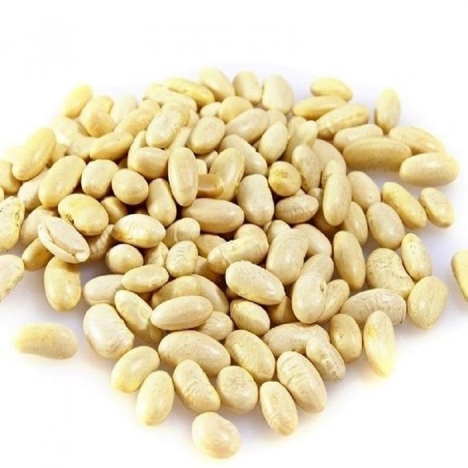 Haricots lingots blancs bio vrac - Terra libra