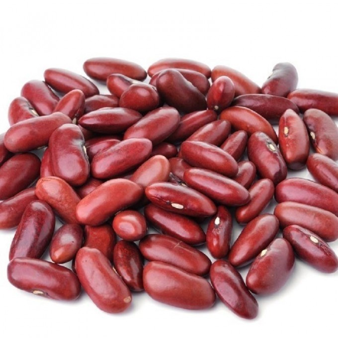 Haricots Rouges Kidney Bio