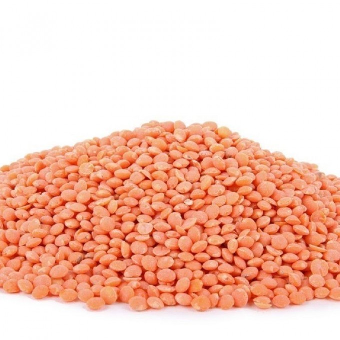 Lentilles Corail Bio