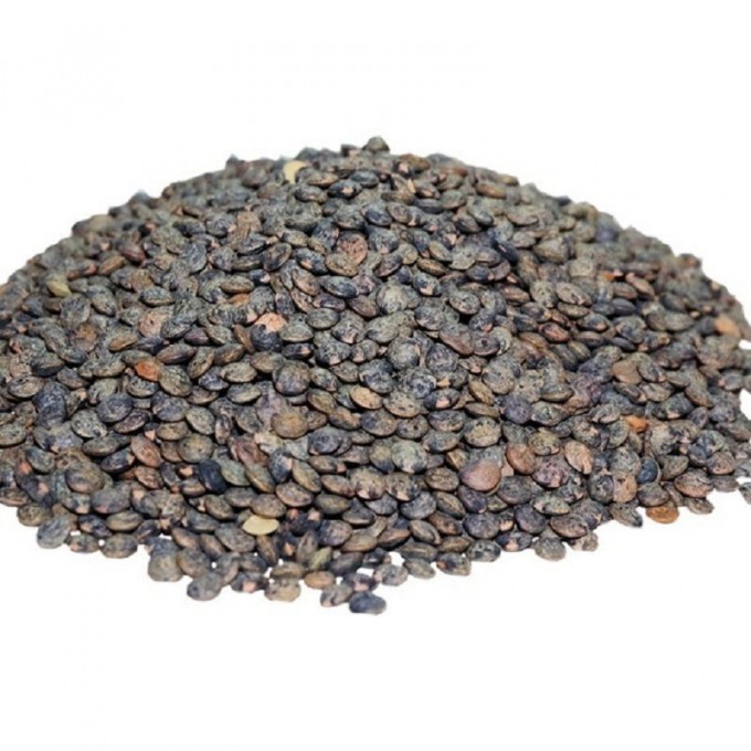 Lentilles Vertes Bio